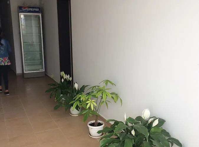 בית הארחה Kolev 2 3*